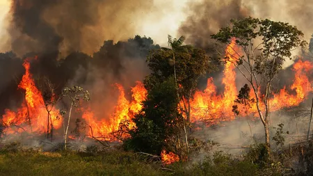 Brazilia instaurează starea de urgenţă din cauza incendiilor de vegetaţie