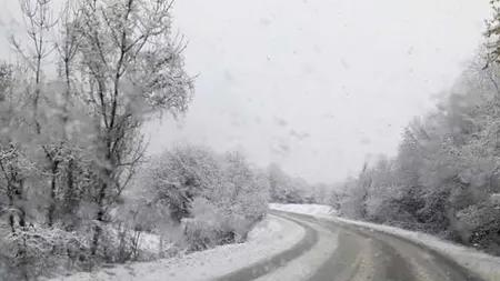 Alertă meteo. Intensificări ale vântului în mai multe judeţe. Lapoviţă şi ninsoare la munte