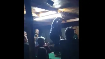 Primăriţa realeasă în Bihor a dansat pe mese după victorie. Petrecere cu zeci de persoane într-un bar după rezultatul alegerilor VIDEO