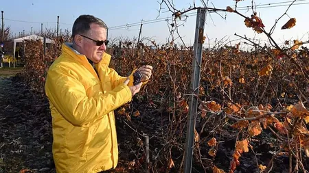 Ministrul Agriculturii, Adrian Oros, confirmat cu coronavirus. Cum se simte guvernantul PNL