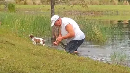 A intrat în apă pentru a-și scoate cățelușul din fălcile unui aligator. Eforturile bărbatului de a-și salva cel mai bun prieten au fost filmate (VIDEO)