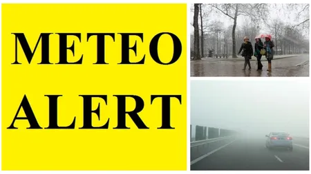 Alertă meteo COD GALBEN de DEPUNERI DE POLEI, ceaţă şi chiciură