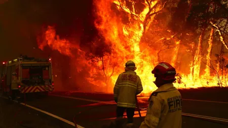 Incendiu devastator în Suceava joi seară