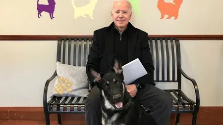 Major, animalul de companie al lui Joe Biden face furori pe Internet. Este primul căţel vagabond care ajunge la Casa Albă