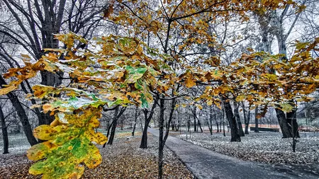 PROGNOZA METEO 16 decembrie. Vreme închisă în toată ţara. Dimineaţa se vor semnala ceaţă, burniţă şi chiciură