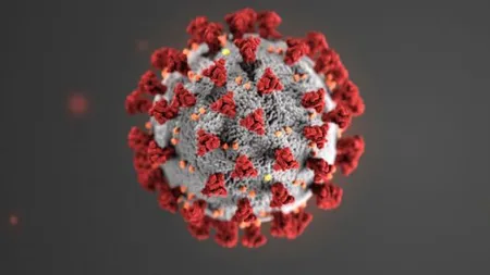Mutaţiile noului coronavirus ar putea face inutil vaccinul. Avertismentul dr. Ţincu: 