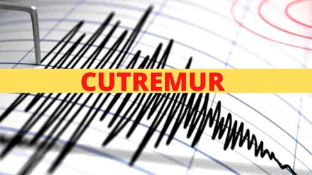 Cutremur de Anul Nou 2021. Vrancea s-a mişcat cu o magnitudine de aproape 4