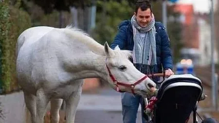 Povestea calului care se plimbă zilnic pe străzile oraşului şi îşi face tot timpul prieteni noi. ,,Numele meu este Jenny. Nu am fugit, ci doar mă plimb. Mulțumesc