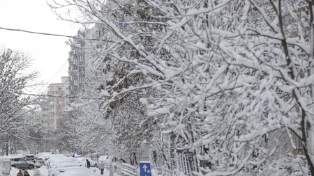 Prognoza meteo 13 ianuarie. Ninsori şi temperaturi de până la minus 10 grade. Cum va fi vremea la Bucureşti