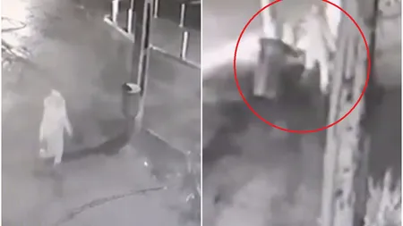 Femeie surprinsă de camerele de supraveghere furând un tomberon VIDEO