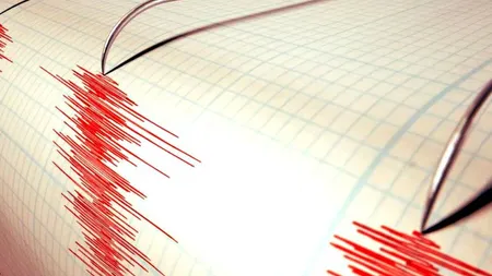 Cutremur în Vrancea. În ce oraşe s-a simţit