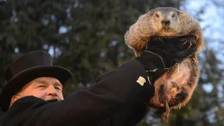 Marmota Phil a prezis încă șase săptămâni de iarnă în SUA