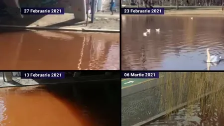 Situaţie stranie în parcul IOR. Apa lacului a devenit roşie. Autorităţile încearcă să găsească factorul poluator