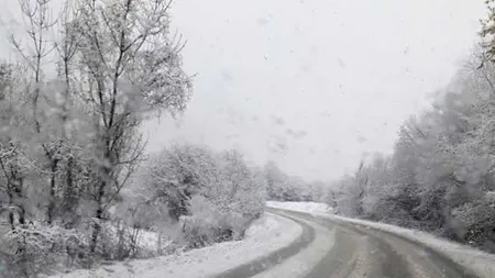 Prognoza meteo 6 martie. Ninsori şi viscol la munte, ploi şi vreme rece în restul ţării