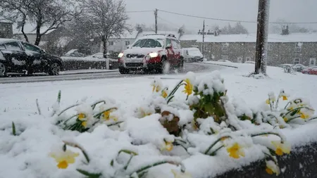 Prognoza meteo 9 aprilie: Temperaturi de îngheţ şi brumă în mai multe zone. Apoi vremea se încălzeşte şi vor fi furtuni