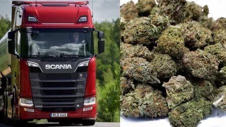 Șofer de tir din România, amendat cu 1,7 milioane de euro în Franța. Românul transporta aproape o tonă de droguri!