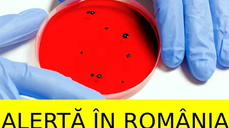 O nouă pandemie ameninţă România. Sunt peste 140 de focare în toată ţara