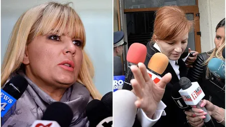 Elena Udrea și Ioana Băsescu, la ÎCCJ în dosarul finanţării campaniei electorale din 2009. În primă instanţă, Elena Udrea a primit 8 ani de închisoare, iar Ioana Băsescu 5 ani