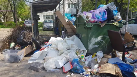 Încă un oraş din România se confruntă cu problema gunoaielor neridicate. Autorităţile locale cer declararea stării de alertă