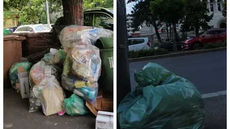 Garda de Mediu confirmă amenda dată Primăriei Sectorului 1 din cauza gunoaielor, după ce Clotilde Armand spunea că e Fake News