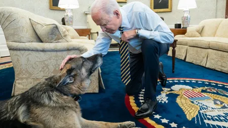Joe Biden, îndurerat. Cel mai bun prieten al său, ciobănescul german Champ, a murit. 