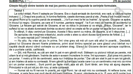 Barem română Evaluare Naţională 2021. Cum se rezolvau subiectele şi cum puteai obţine punctaj maxim