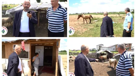 Cristian Popescu Piedone, descindere cu motocicleta printre oi: Oaia, calul, capra... la ferme sau la Zoo! Nu vreau sălbăticie în Sectorul 5!