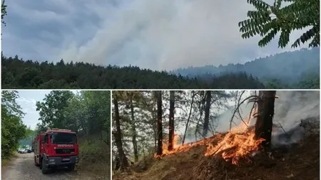 Incendiu uriaș în Parcul Naţional Porţile de Fier! Pompierii sting flăcările cu lopata