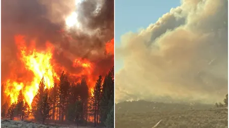 Temperaturi-extreme în lume şi fenomene nemaiîntâlnite cauzate de acestea. În SUA, apa aruncată din avioane pentru a stinge incendiile de pădure se evaporă înainte de a ajunge la sol