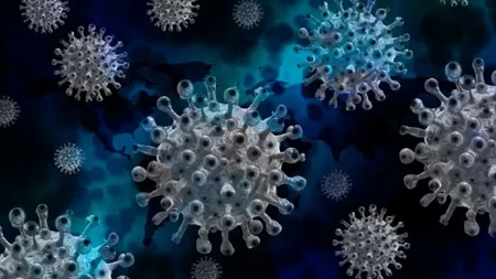 Studiu despre tulpina Delta. Categoria care riscă cel mai mult să se infecteze