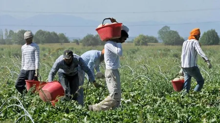 INS: Aproape 200.000 de români au emigrat într-un an de pandemie