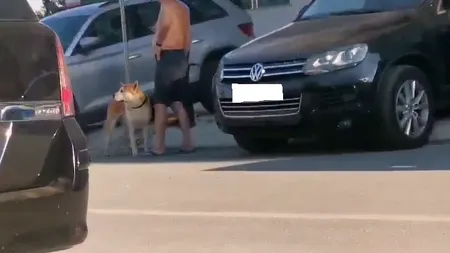 Copil de trei ani mușcat de față de un câine, în apă în staţiunea Mamaia