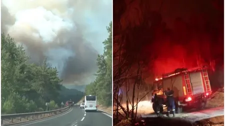 Incendii devastatoare în Grecia şi Turcia. S-au înregistrat mai mult decese şi persoane spitalizate cu probleme respiratorii şi arsuri. GALERIE FOTO şi VIDEO