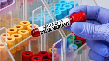 Tulpina Delta se apropie de transmiterea comunitară. Care sunt simptomele variantei Delta şi cum acţionează vaccinul