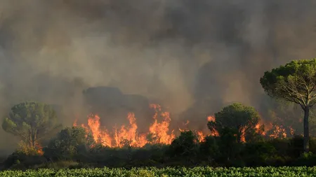 Saint Tropez, bijuteria de pe Coasta de Azur a Franţei, ameninţată de incendii