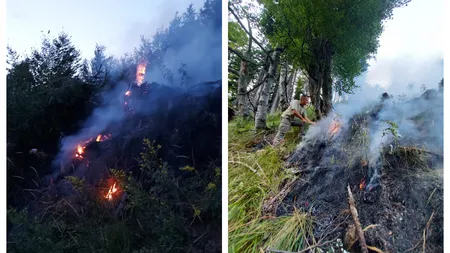 Incendiu puternic în Munţii Căpăţânii din Vâlcea. Patru hectare de pădure au fost cuprinse de flăcări