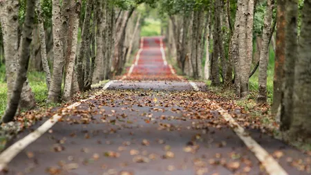 Prognoză meteo 3 septembrie 2021.  Toamna îşi face simţită prezenţa. Vreme se răceşte în toată ţara