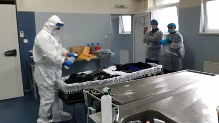 Beatrice Mahler: Morga de la Marius Nasta, plină. Se caută un congelator de închiriat
