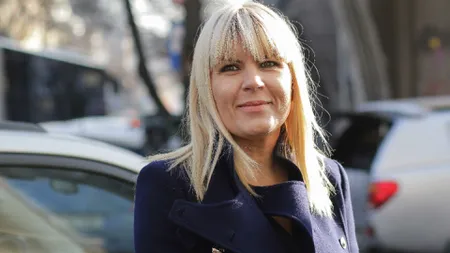 Elena Udrea, victorie în faţa Fiscului. Parchetul a clasat un dosar în care fostul ministru era acuzat de evaziune fiscală