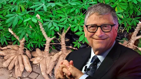 Leguma-minune recomandată de Bill Gates, care e un adevarat elixir pentru sănătate. Ține gripa la distanță și are numeroase beneficii pentru organismul uman!