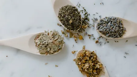 Oregano combate cu succes infecţiile respiratorii. Iată plantele miraculoase care îţi uşurează respiraţia şi au şi efect antiviral