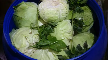 Greşeala majoră pe care o facem când punem varză murată. Ce trebuie să pui neapărat în butoi, sarmalele vor ieşi delicioase