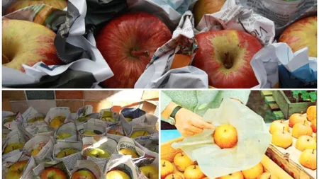 Cum se păstrează merele proaspete peste iarnă. Metoda bunicilor testată de sute de ani! De ce e bine să le înveleşti în ziare?!