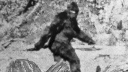 Misterul lui Bigfoot se adâncește. Ce au descoperit oamenii de ştiinţă