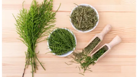 Planta minune care vindecă ulcerul şi tratează anemia. Este eficientă şi în curele de slăbire