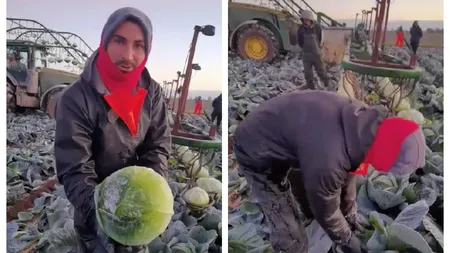 Muncitor român din Marea Britanie, mesaj dur pentru prietenii de acasă care îl aşteaptă să le facă cinste: 