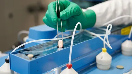 Veşti bune de la Pfizer. Pastila anticovid ”paxlovid” reduce cu aproape 90% spitalizarea şi decesul persoanelor cu risc şi este eficientă împotriva Omicron