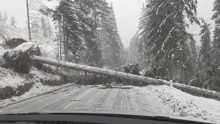 Meteo 5 ianuarie. Vin ninsorile la munte! Iată ce spun meteorologii despre celalalte regiuni