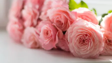 De ce florile pe care le oferim cadou trebuie să aibă număr impar? Ce ascund regulile de bună purtare
