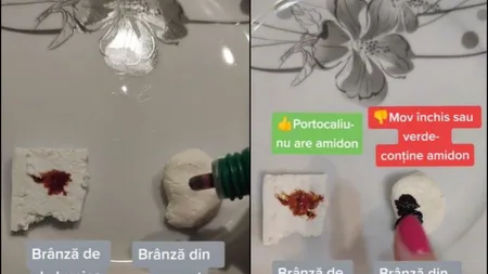 Brânzeturile false, pline de amidon, care pot fi toxice pentru organism. Videoclipul viral pe Tik Tok care spune cum poți deosebi cele două feluri